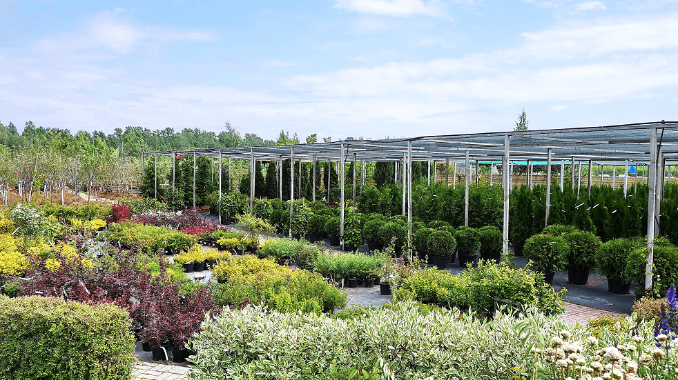 Garden Centre
